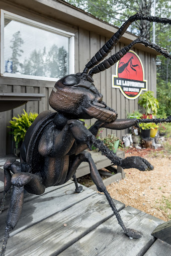 Labyrinthe des insectes